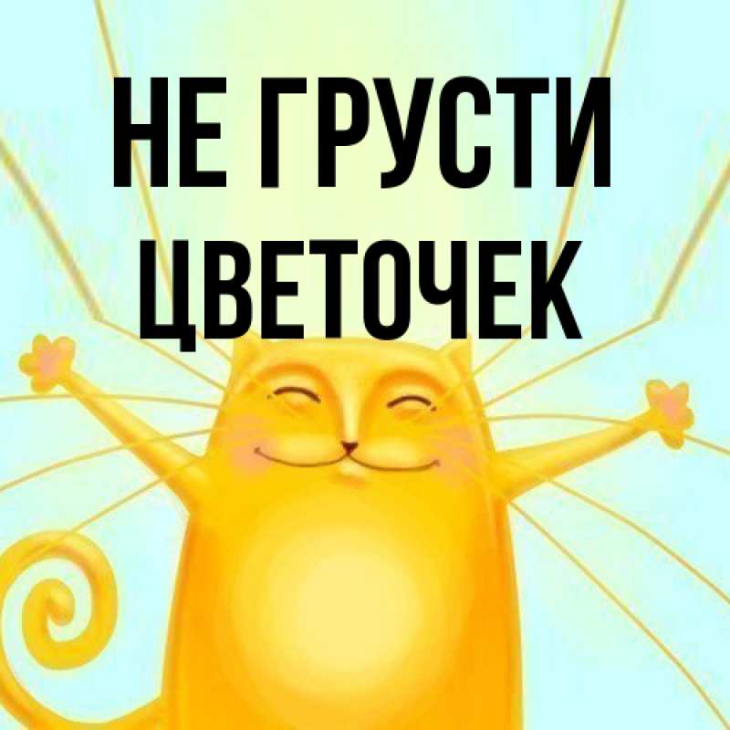 Картинка Не грусти, Цветочек