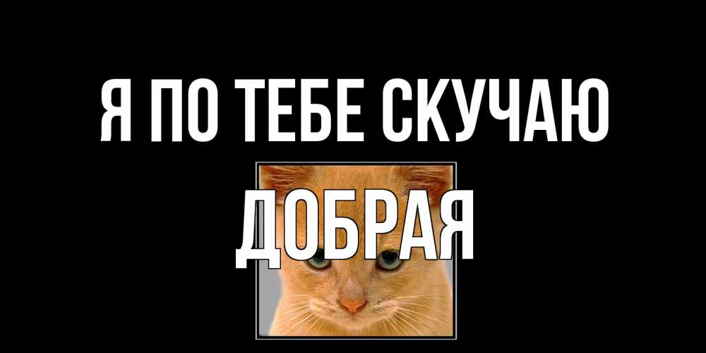 Открытка на каждый день с именем, Добрая Я по тебе скучаю открытки рыжий котенок скучает по тебе Прикольная открытка с пожеланием онлайн скачать бесплатно 