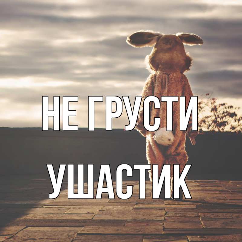 Картинка Не грусти, Ушастик