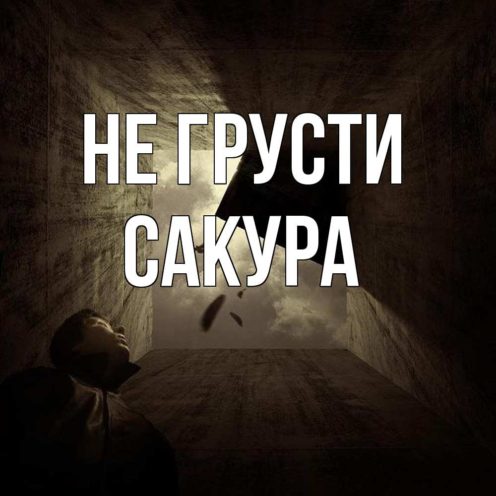 Открытка на каждый день с именем, Сакура Не грусти жуть Прикольная открытка с пожеланием онлайн скачать бесплатно 