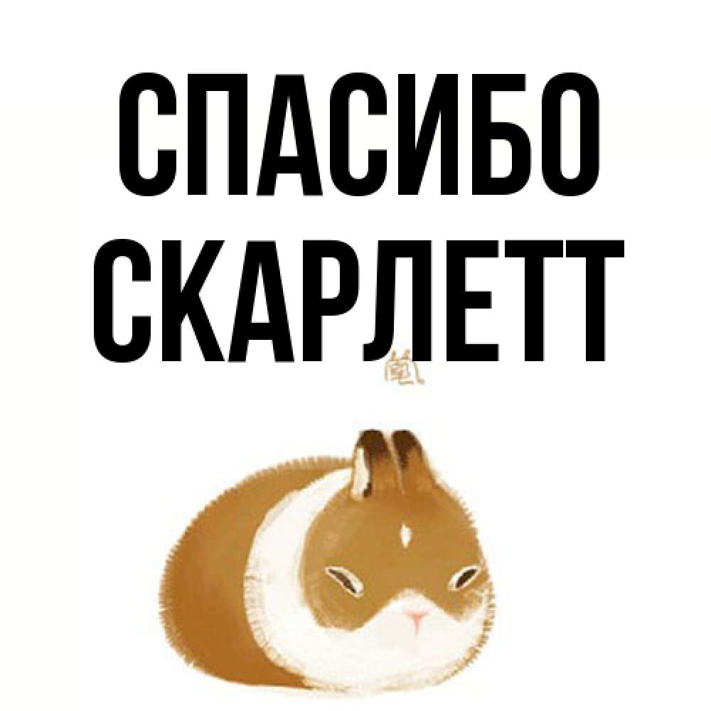 Открытка на каждый день с именем, Скарлетт Спасибо коричнево белый домашний питомец Прикольная открытка с пожеланием онлайн скачать бесплатно 