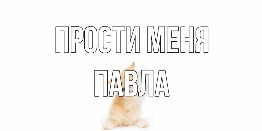 Открытка на каждый день с именем, Павла Прости меня кот Прикольная открытка с пожеланием онлайн скачать бесплатно 