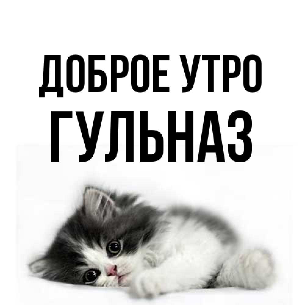 Открытка на каждый день с именем, Гульназ Доброе утро кот лапки Прикольная открытка с пожеланием онлайн скачать бесплатно 