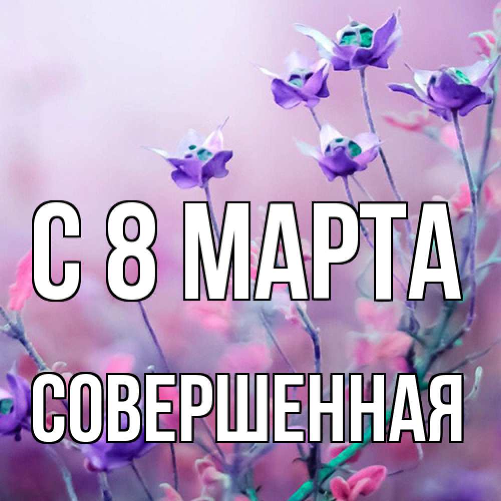 Открытка на каждый день с именем, Совершенная C 8 МАРТА международный женский день 2 Прикольная открытка с пожеланием онлайн скачать бесплатно 