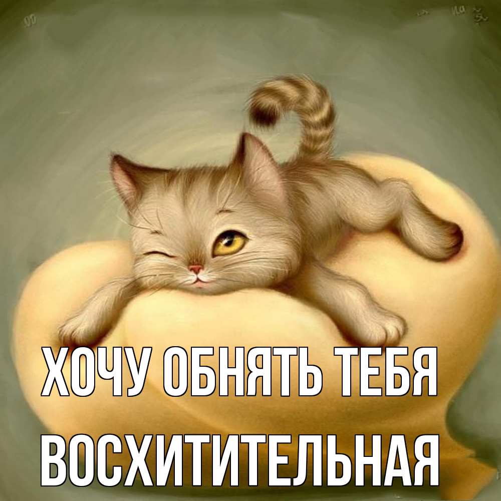 Открытка на каждый день с именем, восхитительная Хочу обнять тебя кошечка Прикольная открытка с пожеланием онлайн скачать бесплатно 
