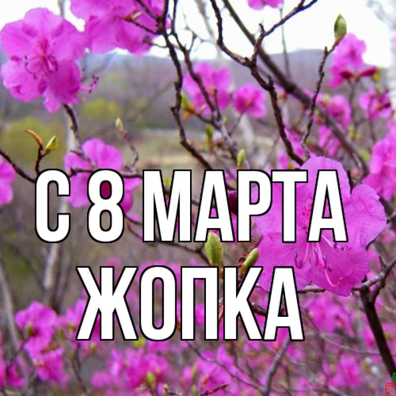 Картинка C 8 МАРТА, Жопка