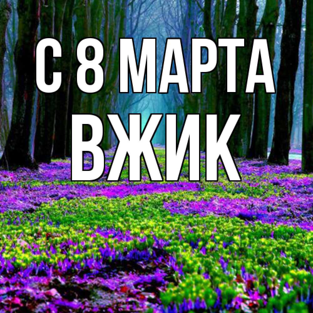 Открытка на каждый день с именем, Вжик C 8 МАРТА фиолетовые цветы в лесу 1 Прикольная открытка с пожеланием онлайн скачать бесплатно 