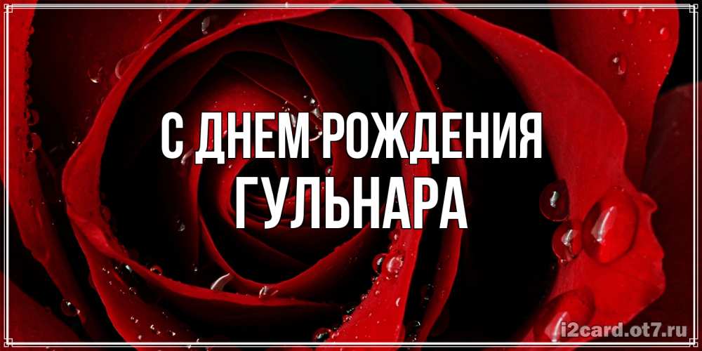 Открытка на каждый день с именем, Гульнара С днем рождения крупная бордовая роза Прикольная открытка с пожеланием онлайн скачать бесплатно 