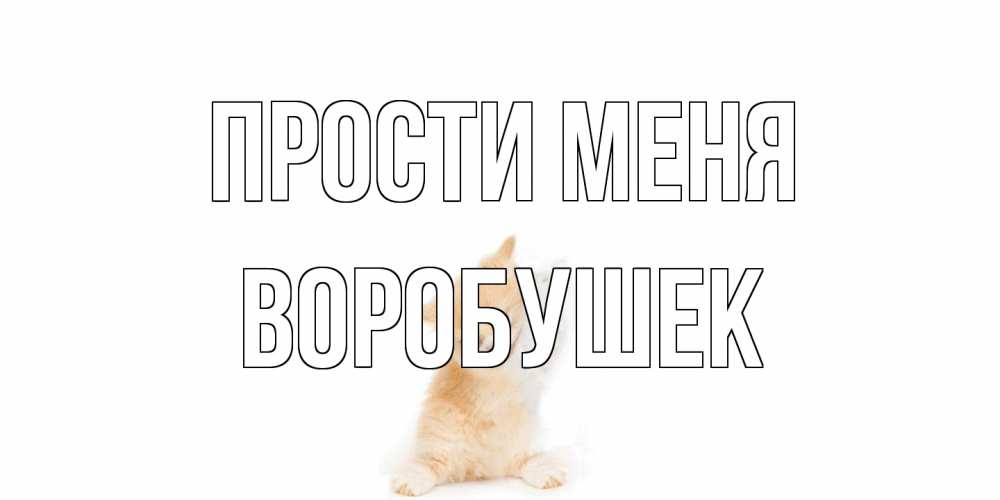 Открытка на каждый день с именем, Воробушек Прости меня кот Прикольная открытка с пожеланием онлайн скачать бесплатно 