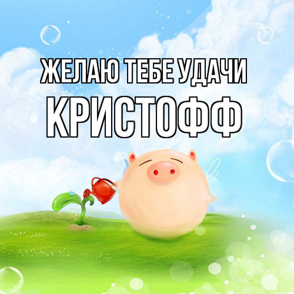 Открытка на каждый день с именем, Кристофф Желаю тебе удачи поросенок поливает цветок. летнее настроение Прикольная открытка с пожеланием онлайн скачать бесплатно 