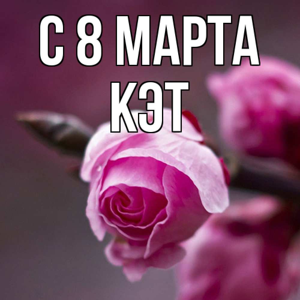 Открытка на каждый день с именем, Кэт C 8 МАРТА весна Прикольная открытка с пожеланием онлайн скачать бесплатно 