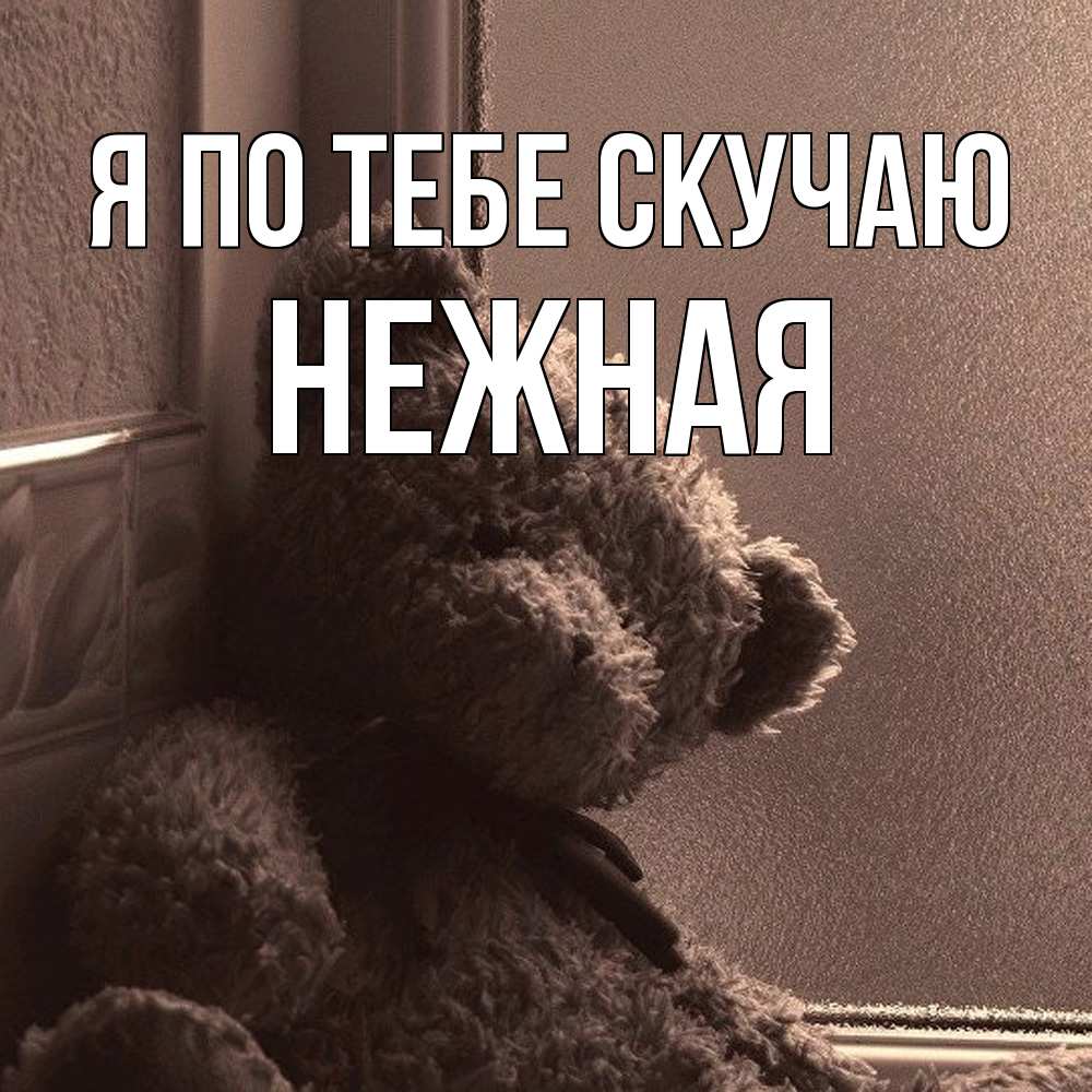 Открытка на каждый день с именем, Нежная Я по тебе скучаю скучаем тут Прикольная открытка с пожеланием онлайн скачать бесплатно 