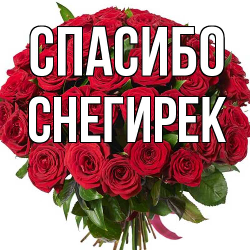 Картинка Спасибо, снегирек