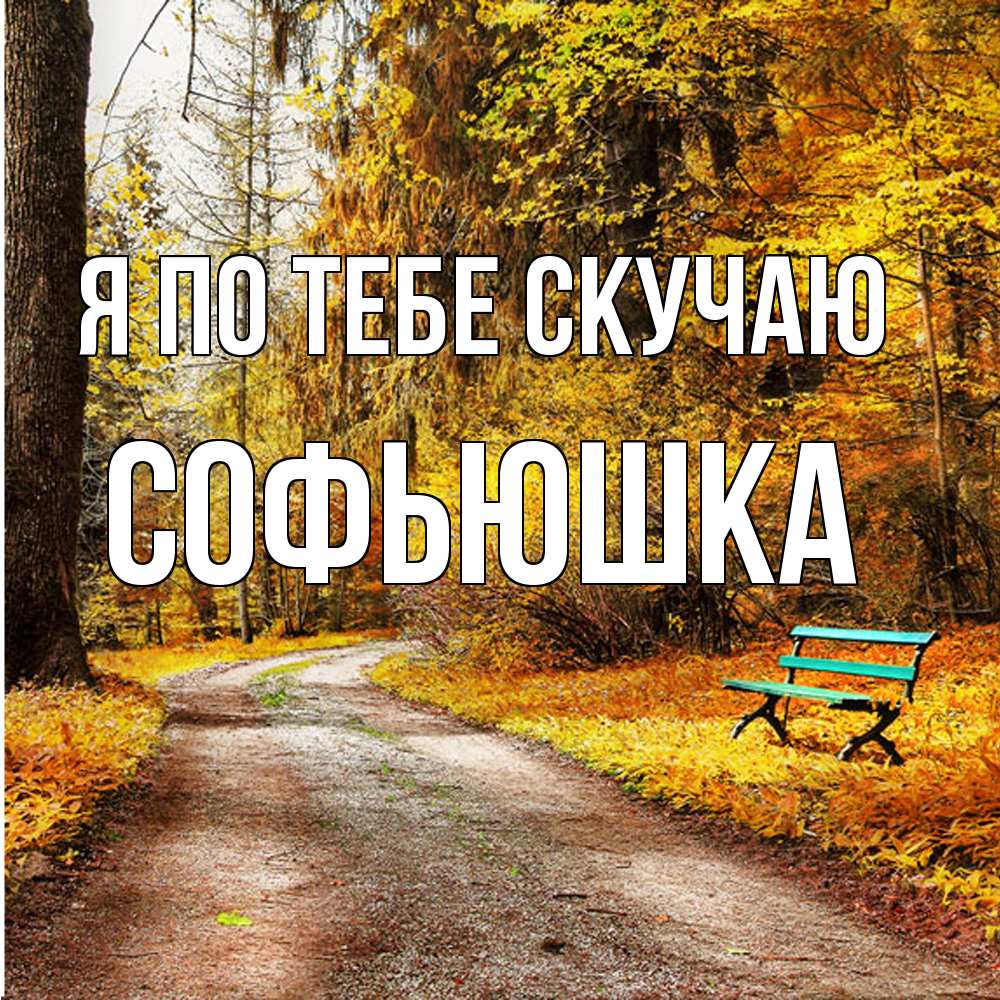 Открытка на каждый день с именем, Софьюшка Я по тебе скучаю зеленая лавочка и осенний лес Прикольная открытка с пожеланием онлайн скачать бесплатно 
