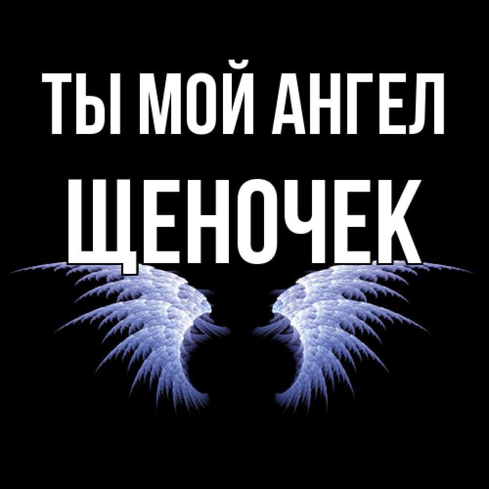 Открытка на каждый день с именем, Щеночек Ты мой ангел ангельские крылья на черном фоне Прикольная открытка с пожеланием онлайн скачать бесплатно 