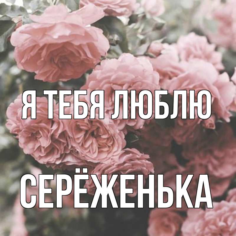 Картинка Я тебя люблю, Серёженька