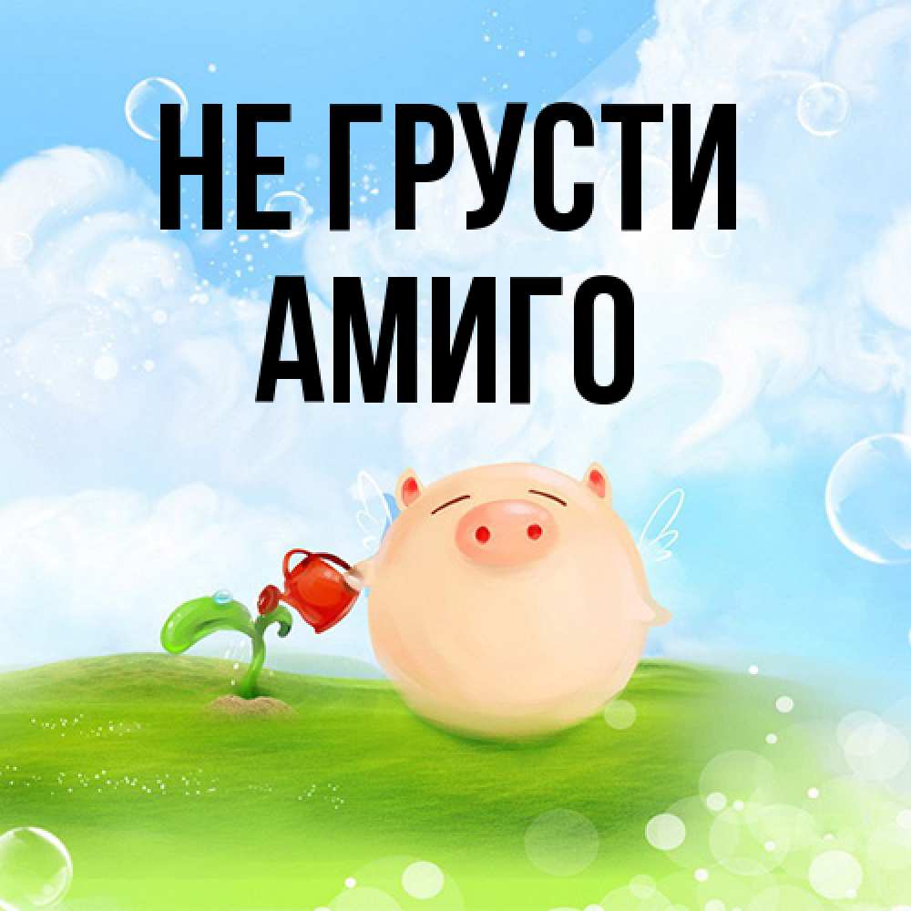 Открытка на каждый день с именем, Амиго Не грусти поливает цветок порося Прикольная открытка с пожеланием онлайн скачать бесплатно 