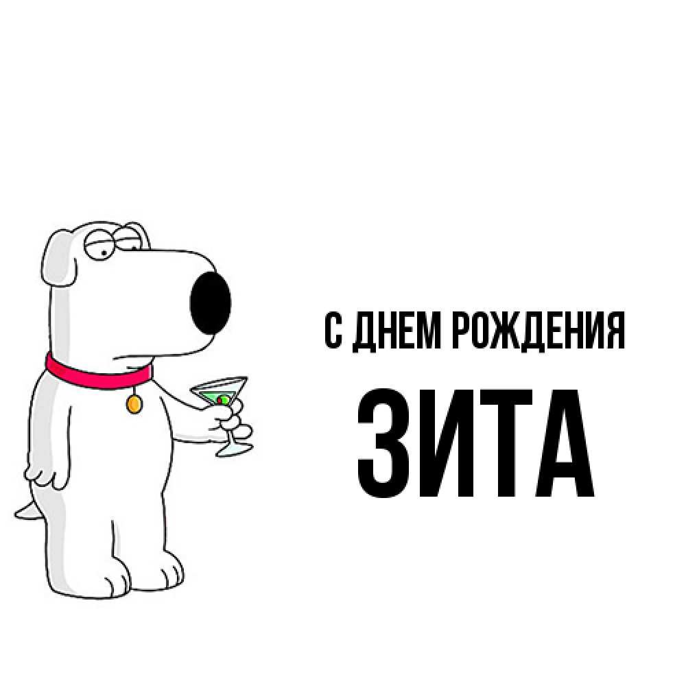 Открытка на каждый день с именем, Зита С днем рождения песик с оливками Прикольная открытка с пожеланием онлайн скачать бесплатно 