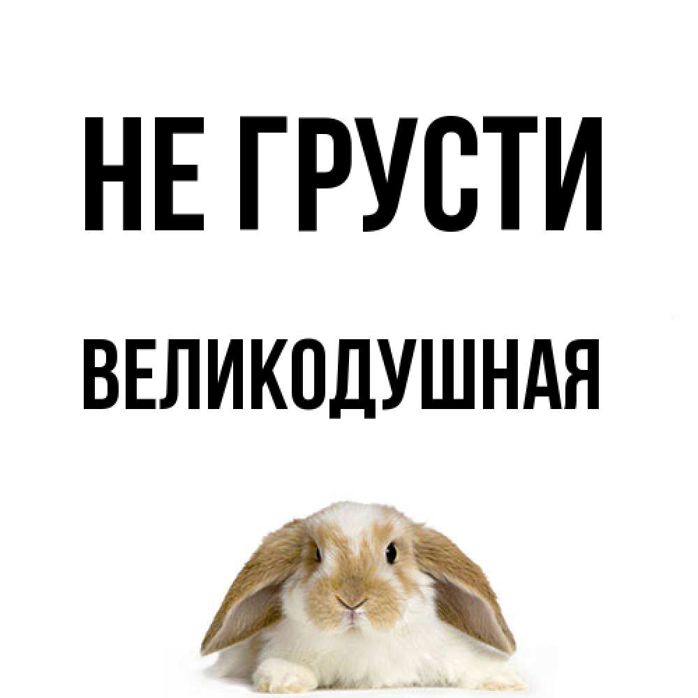 Открытка на каждый день с именем, великодушная Не грусти коричнево белый заяц с большими ушками Прикольная открытка с пожеланием онлайн скачать бесплатно 