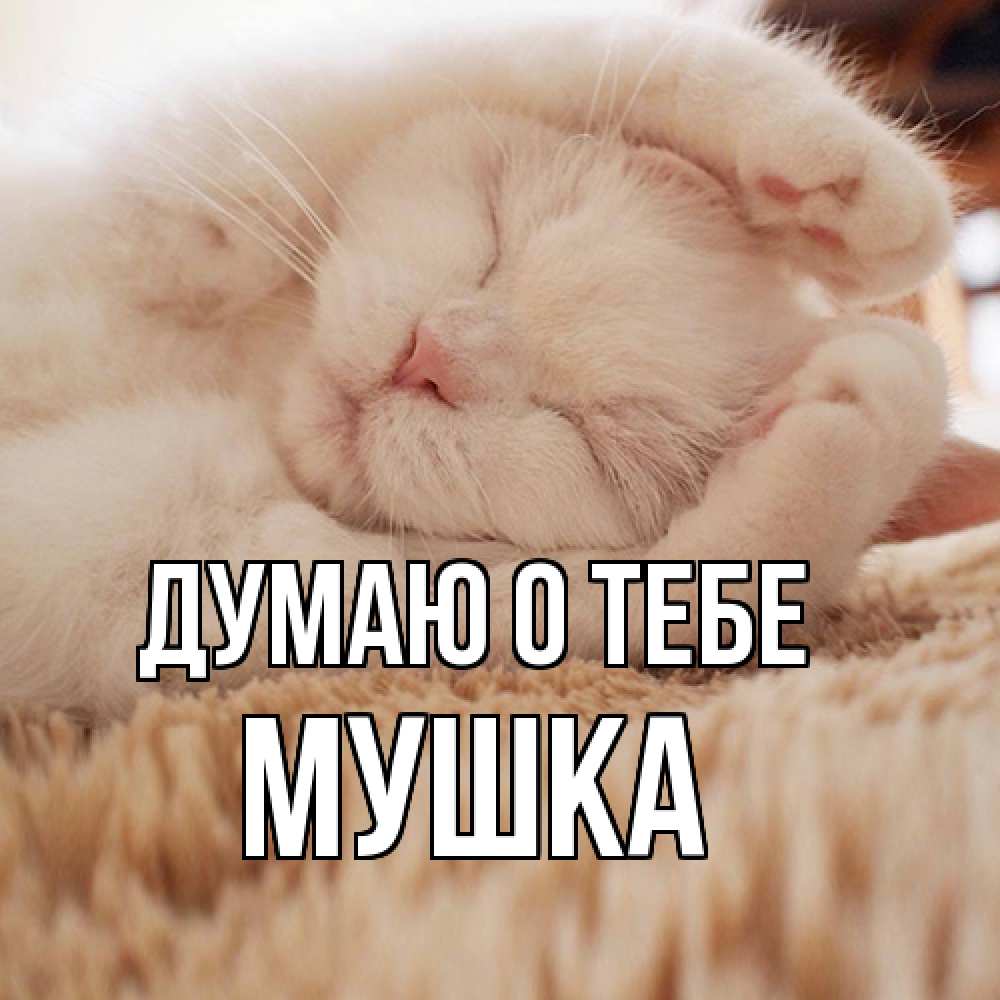 Открытка на каждый день с именем, мушка Думаю о тебе для любимой девушки милота Прикольная открытка с пожеланием онлайн скачать бесплатно 