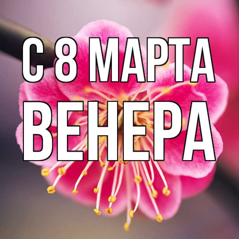 Картинка C 8 МАРТА, Венера