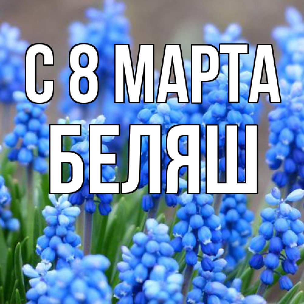 Открытка на каждый день с именем, Беляш C 8 МАРТА Поздравительная открытка для женщин с цветами на праздничную дату Прикольная открытка с пожеланием онлайн скачать бесплатно 