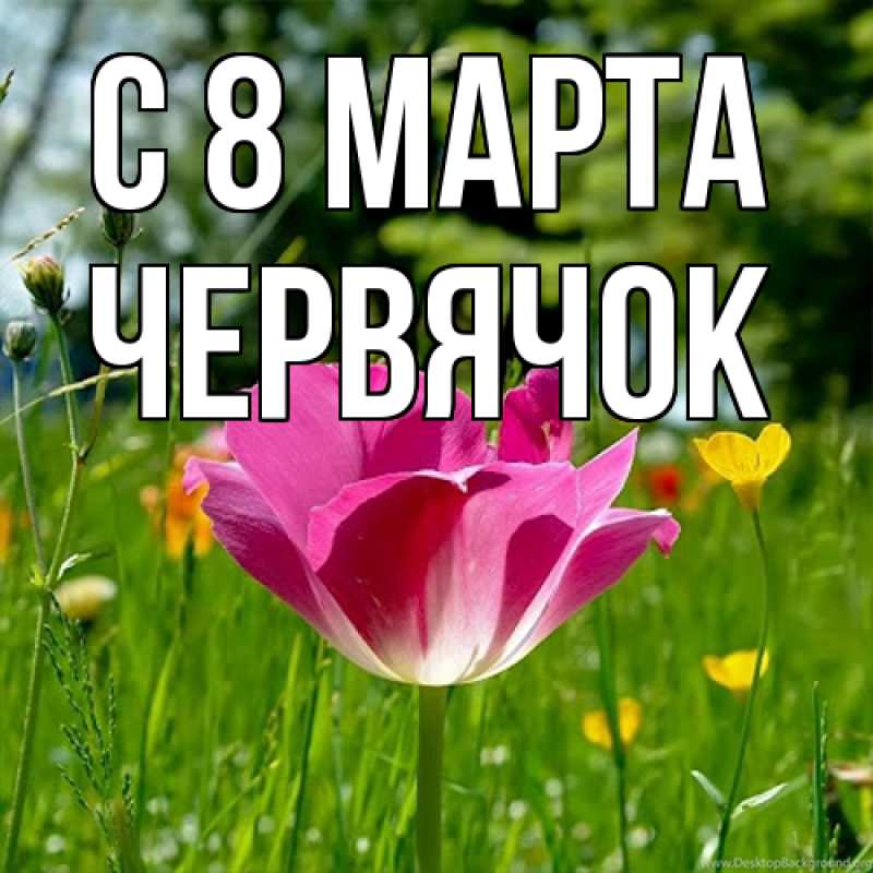 Картинка C 8 МАРТА, Червячок