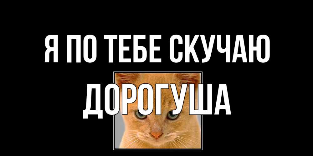 Открытка на каждый день с именем, дорогуша Я по тебе скучаю открытки рыжий котенок скучает по тебе Прикольная открытка с пожеланием онлайн скачать бесплатно 
