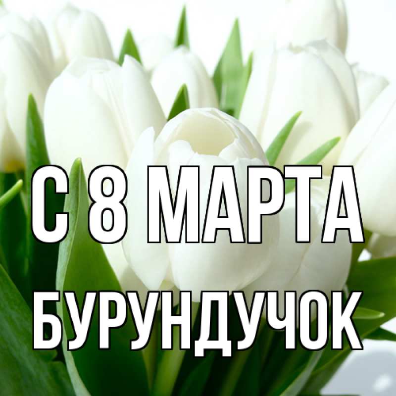 Картинка C 8 МАРТА, бурундучок