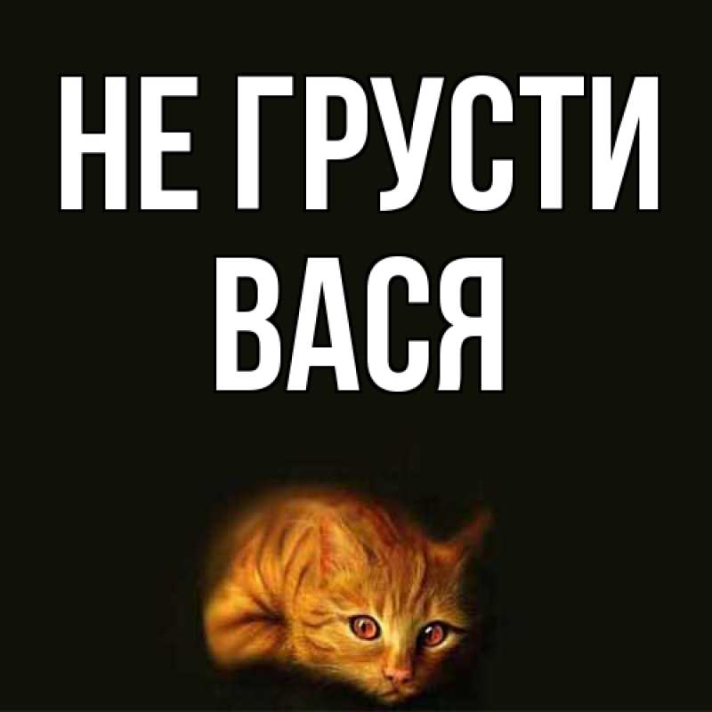 Картинка Не грусти, Вася