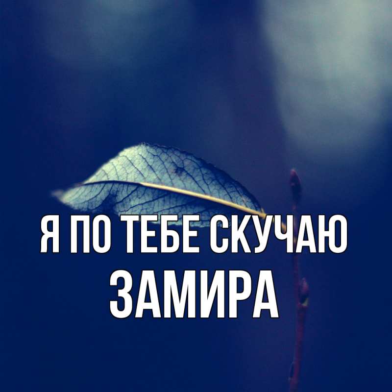 Картинка Я по тебе скучаю, Замира