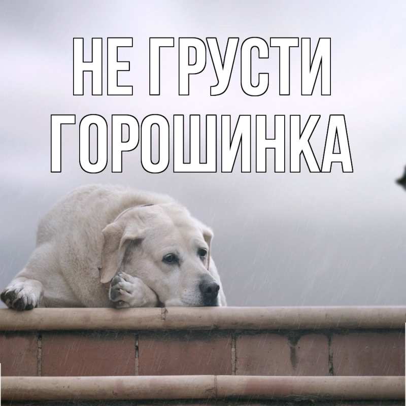 Картинка Не грусти, горошинка