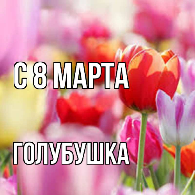 Картинка C 8 МАРТА, Голубушка