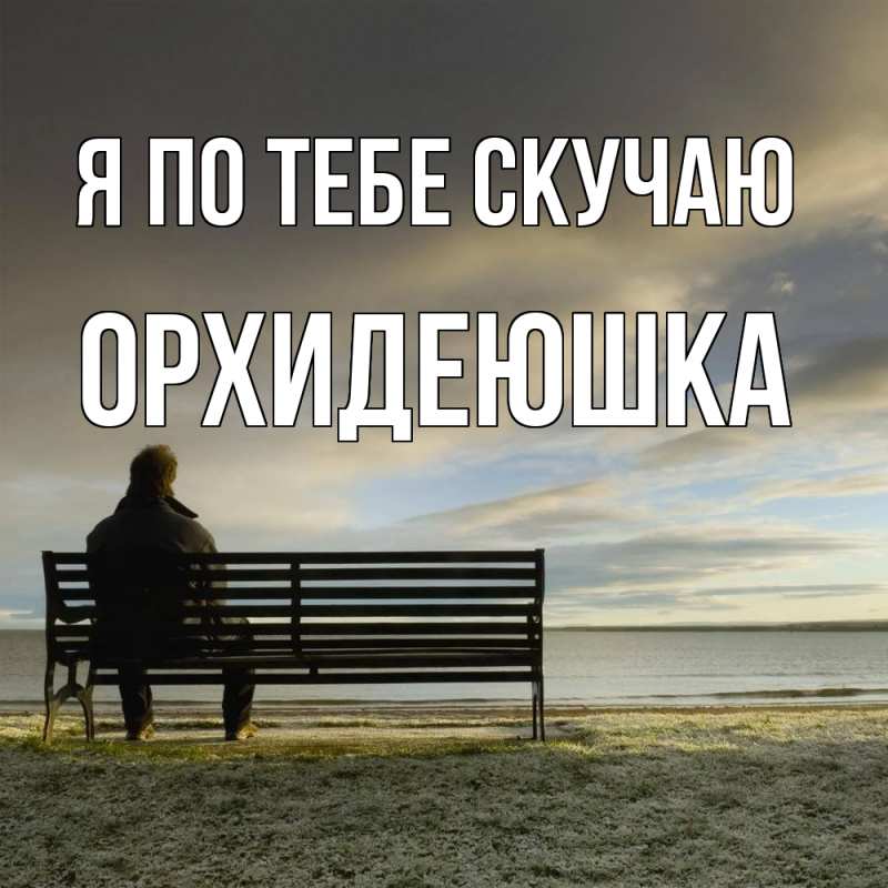 Картинка Я по тебе скучаю, Орхидеюшка