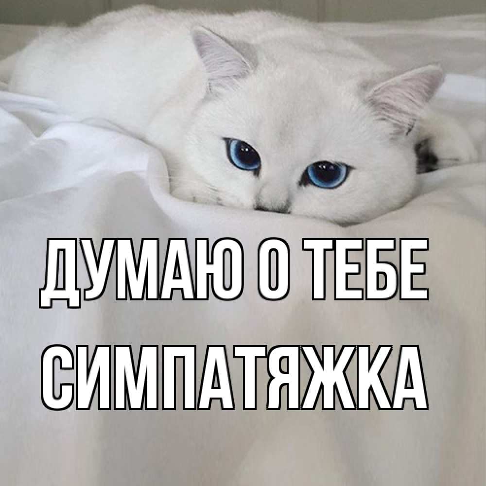 Открытка на каждый день с именем, Симпатяжка Думаю о тебе я очень по тебе скучаю и тоскую Прикольная открытка с пожеланием онлайн скачать бесплатно 