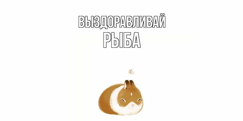 Картинка Выздоравливай, Рыба