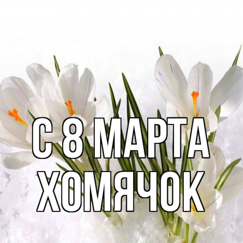 Картинка C 8 МАРТА, Хомячок