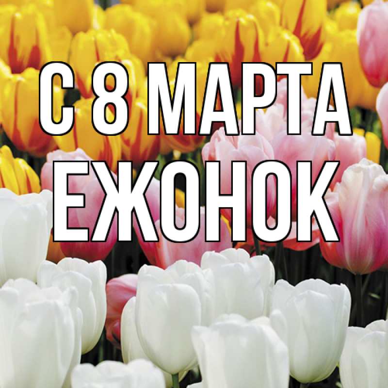 Картинка C 8 МАРТА, Ежонок