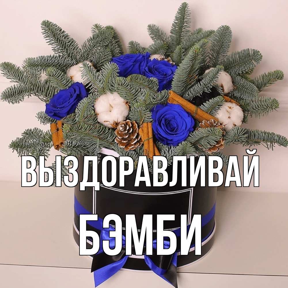 Открытка на каждый день с именем, Бэмби Выздоравливай короче кто то загрузил эти шишки Прикольная открытка с пожеланием онлайн скачать бесплатно 