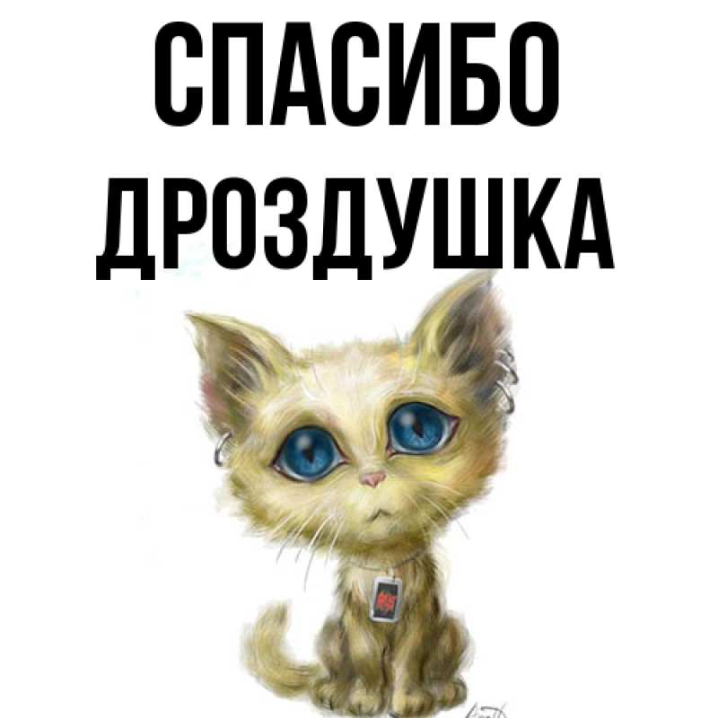 Картинка Спасибо, Дроздушка