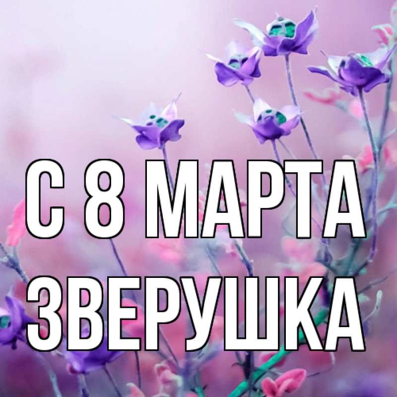 Картинка C 8 МАРТА, Зверушка
