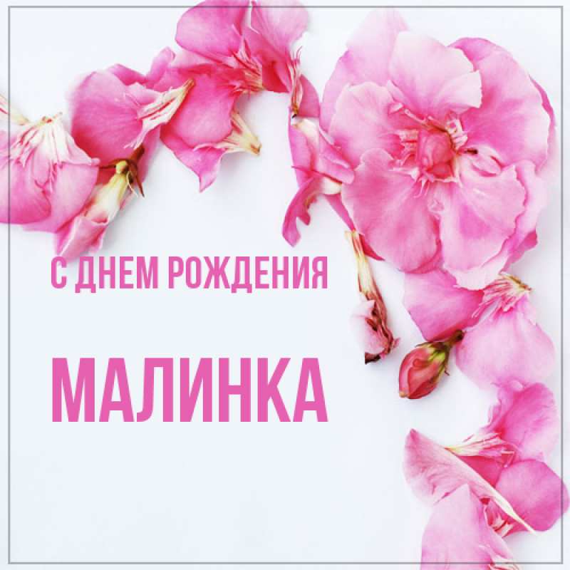 Картинка С днем рождения, Малинка