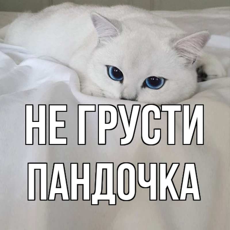 Картинка Не грусти, пандочка