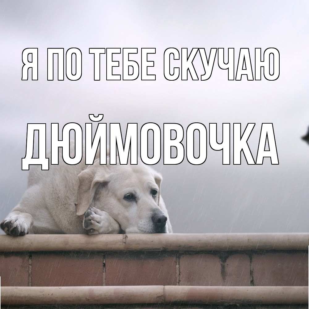 Открытка на каждый день с именем, Дюймовочка Я по тебе скучаю ждет Прикольная открытка с пожеланием онлайн скачать бесплатно 