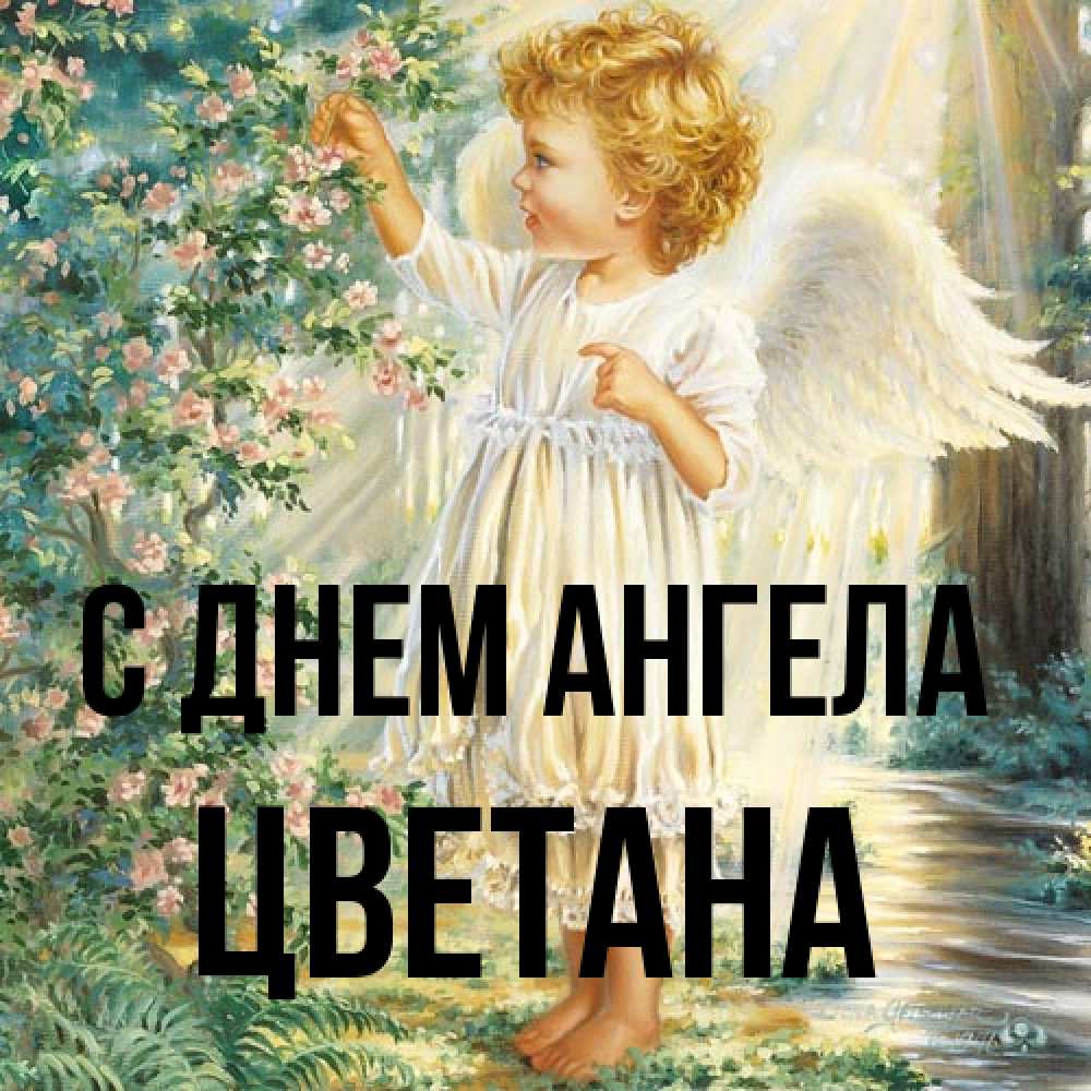 Открытка на каждый день с именем, Цветана С днем ангела собирает цветы Прикольная открытка с пожеланием онлайн скачать бесплатно 