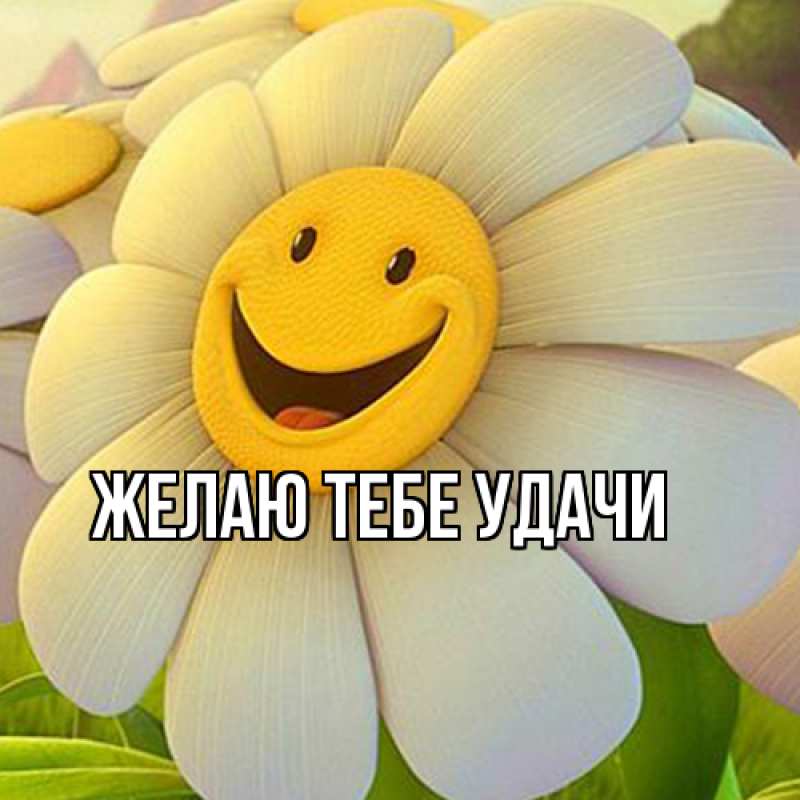 Картинка Желаю тебе удачи, открытка бесплатно