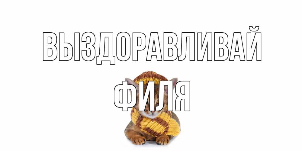 Открытка на каждый день с именем, Филя Выздоравливай родные не болейте Прикольная открытка с пожеланием онлайн скачать бесплатно 