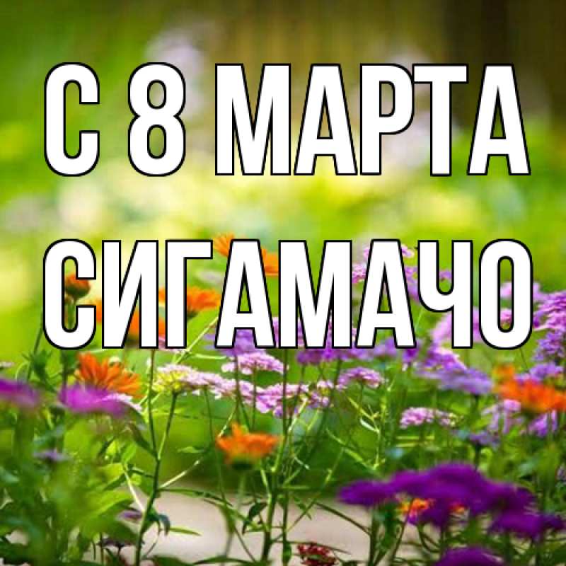 Картинка C 8 МАРТА, Сигамачо