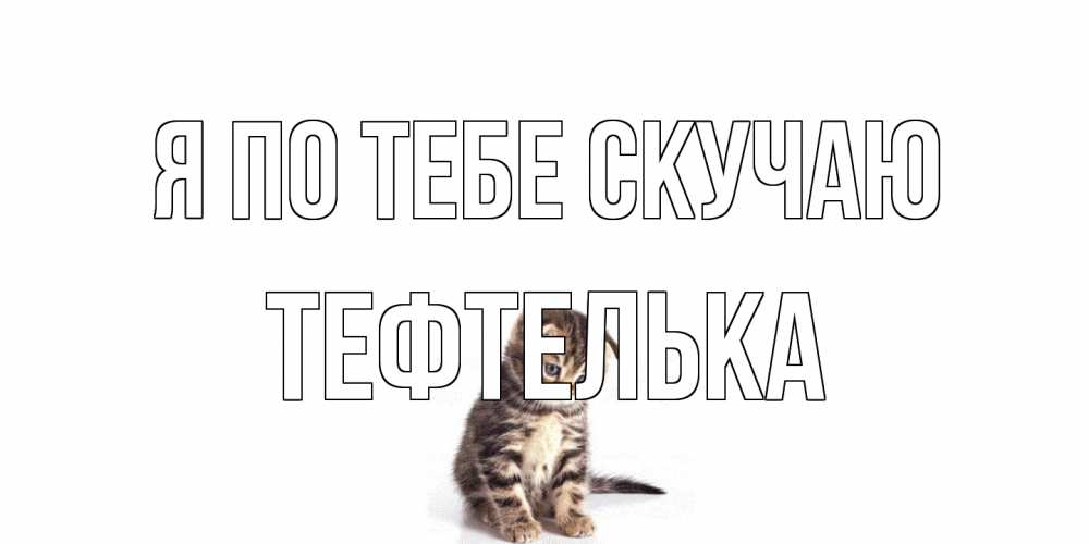Открытка на каждый день с именем, тефтелька Я по тебе скучаю кот Прикольная открытка с пожеланием онлайн скачать бесплатно 