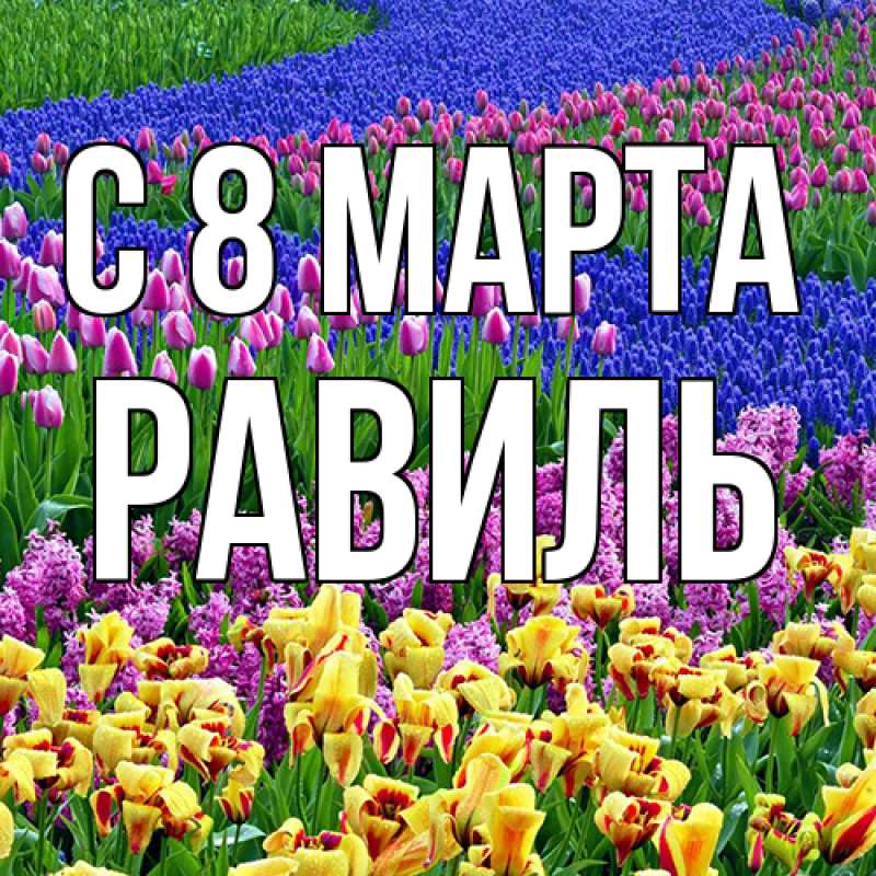 Картинка C 8 МАРТА, Равиль